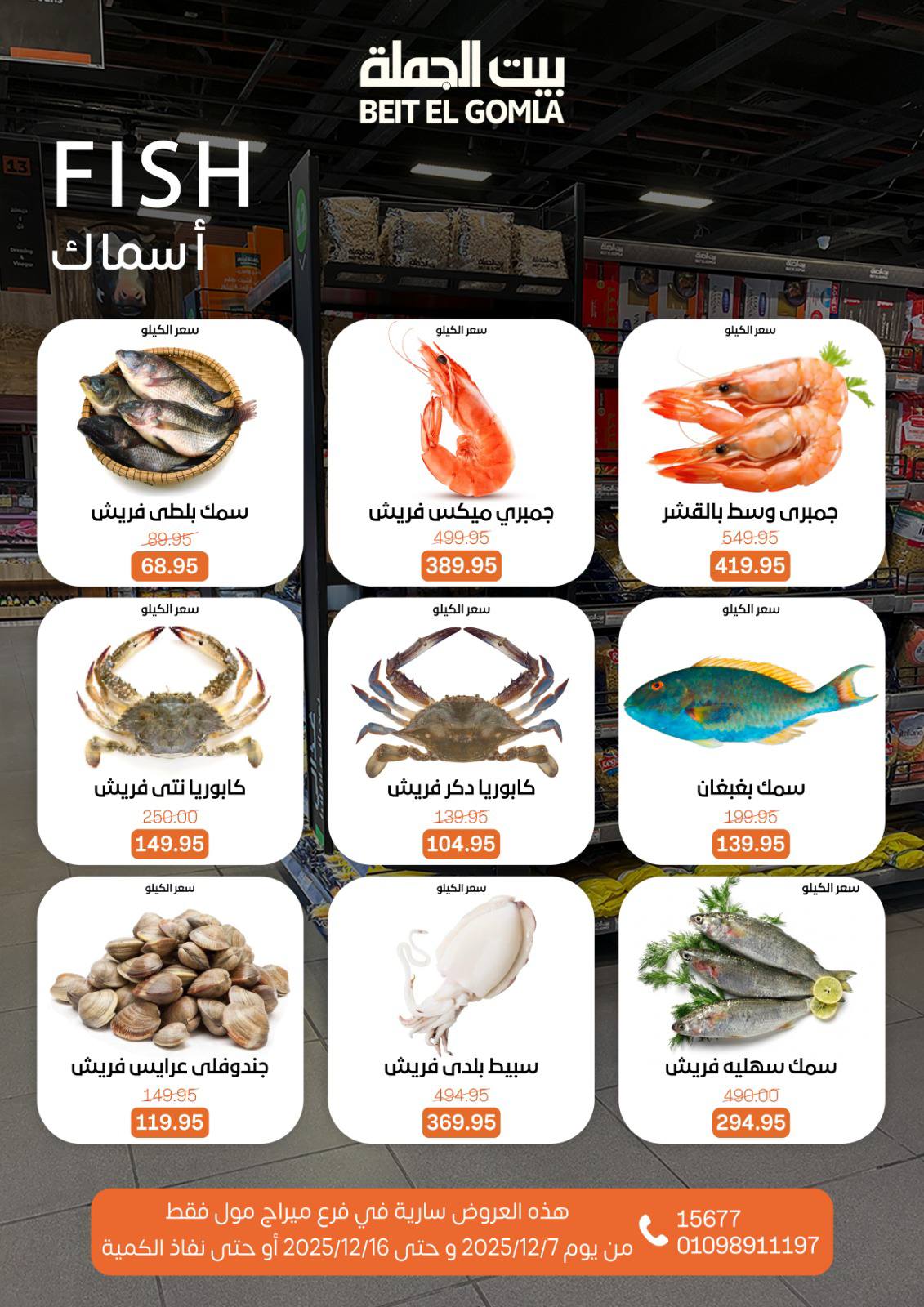 Beit ElGomla offers from 9dec to 16dec 2025 عروض بيت الجملة من 9 ديسمبر حتى 16 ديسمبر 2025 صفحة رقم 13